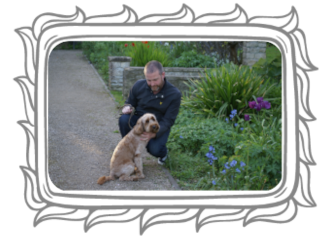 Favourite place portraits pet photography special moments with your dog