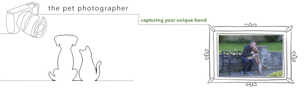 the pet photographer ~ capturing your unique bond